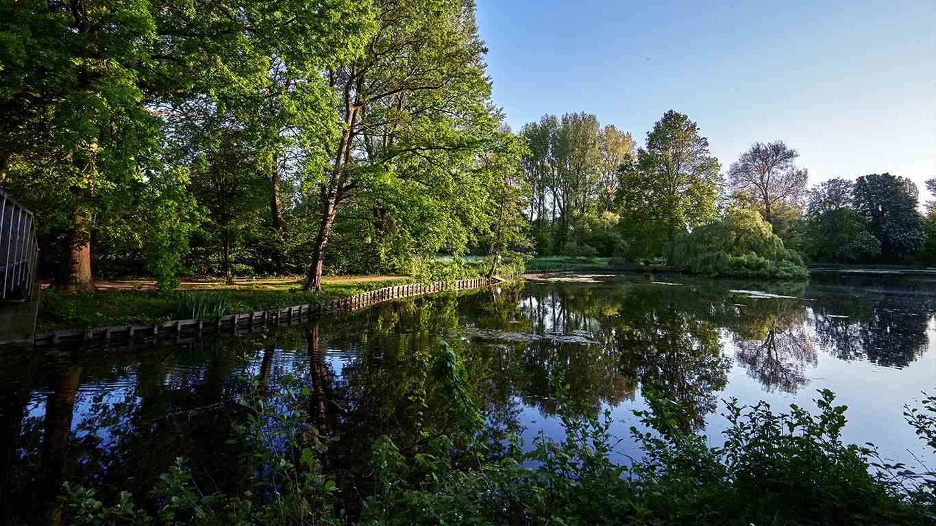McCloud Aquatics Lake and Pond Management Plans | McCloud Aquatics | Lake Management | Pond Management