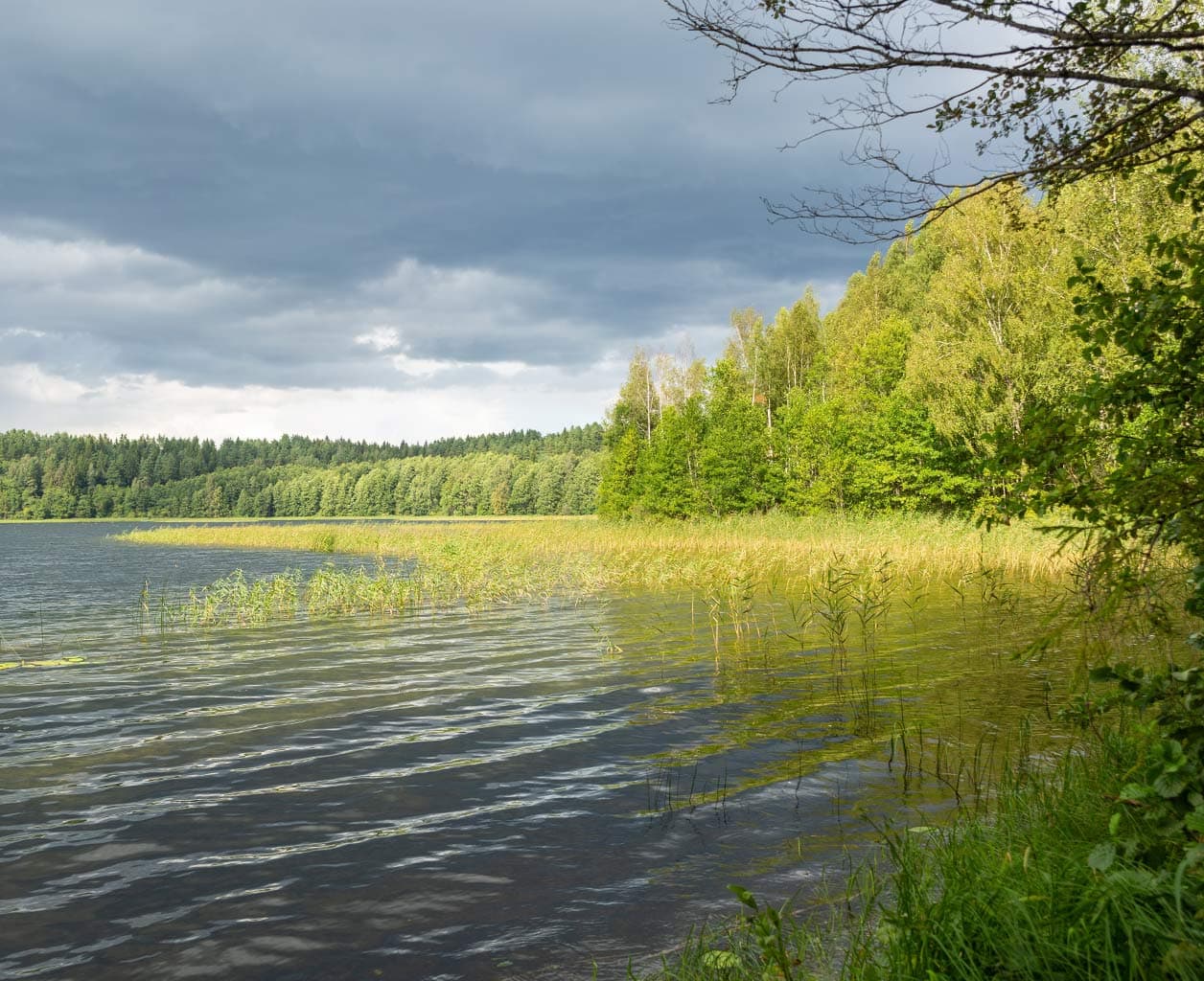 The Ultimate Guide to Long-Lasting Shoreline Restoration for Chicagoland and Northern Illinois