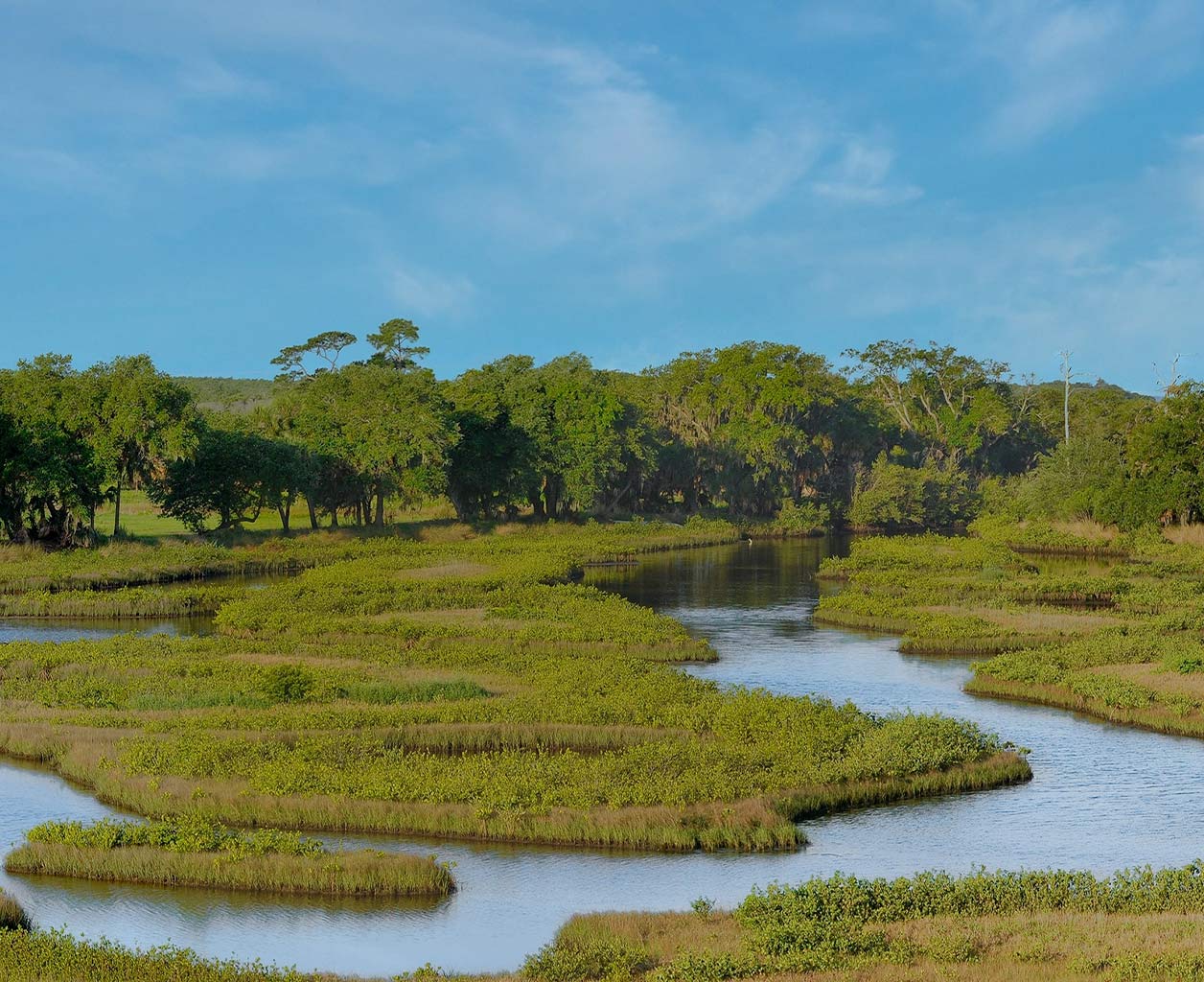 The Ultimate Guide to Long-Lasting Shoreline Restoration for Chicagoland and Northern Illinois