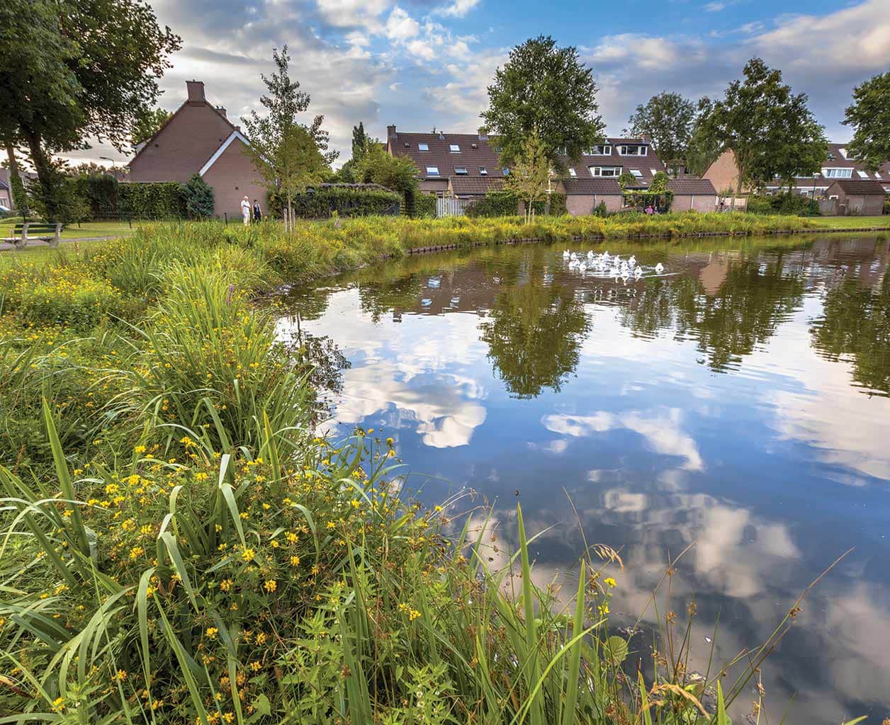 The 5-Step Roadmap to a Pristine Waterbody