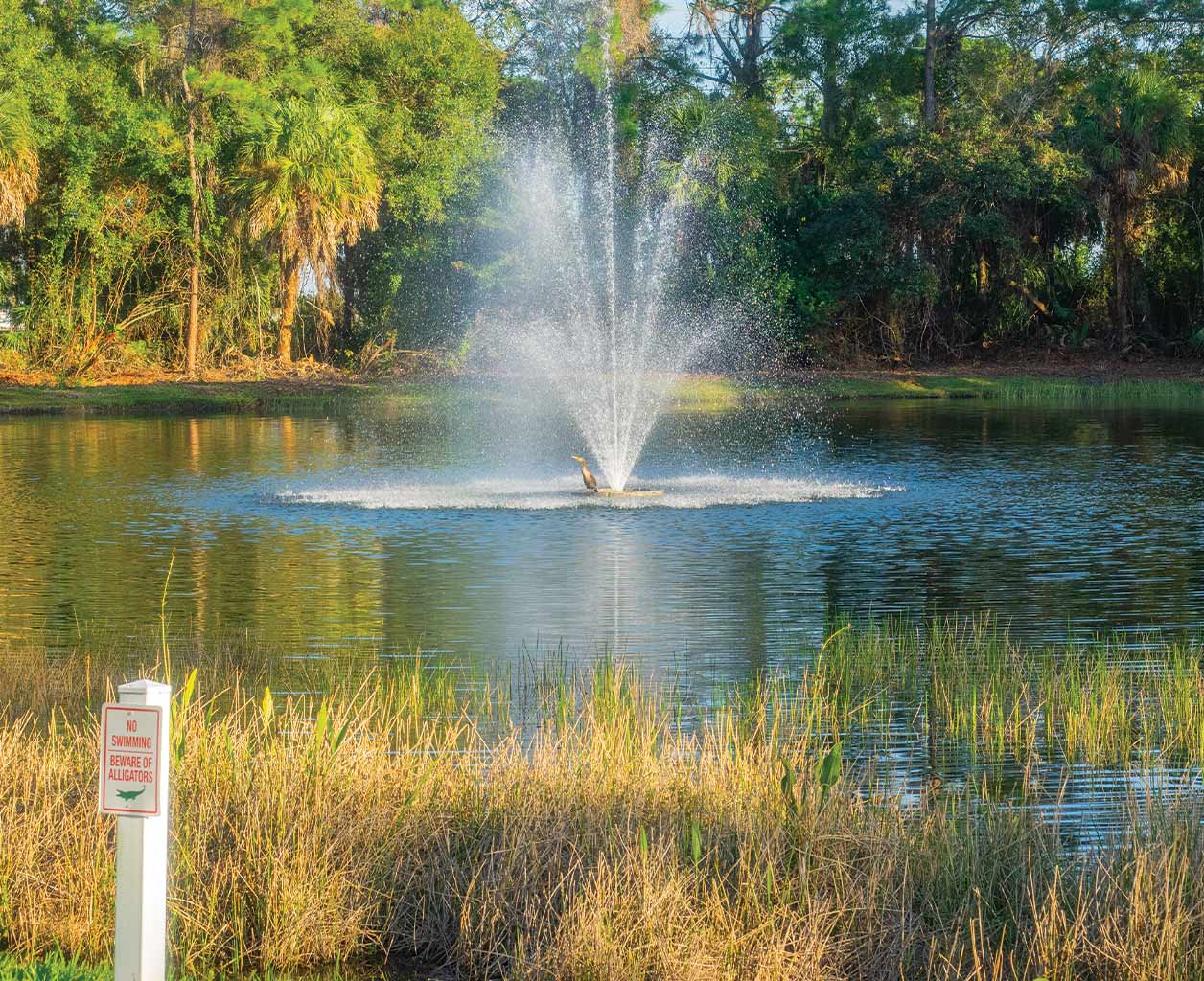 The 5-Step Roadmap to a Pristine Waterbody