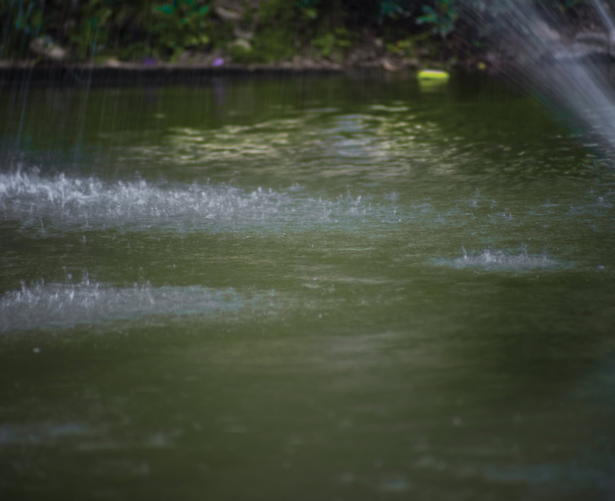 The Ultimate Guide to Nutrient Pollution Remediation for Midwest Lakes and Ponds